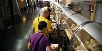 Euskal Encounter 24, 2016 (EE24)