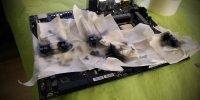 Pintura de la Gigabyte Z170X-Gaming 7